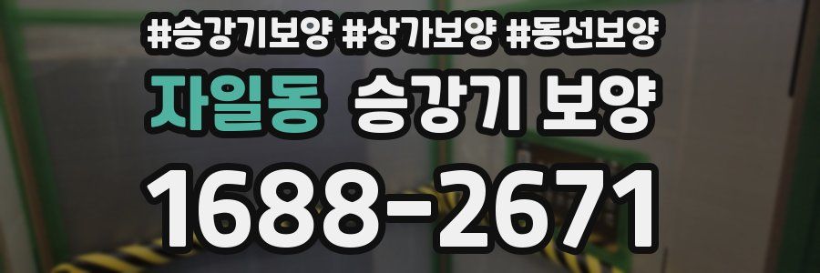 자일동 승강기 보양