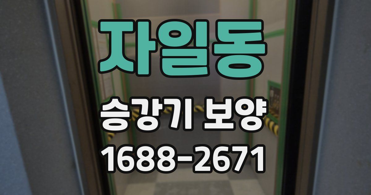 자일동 승강기 보양