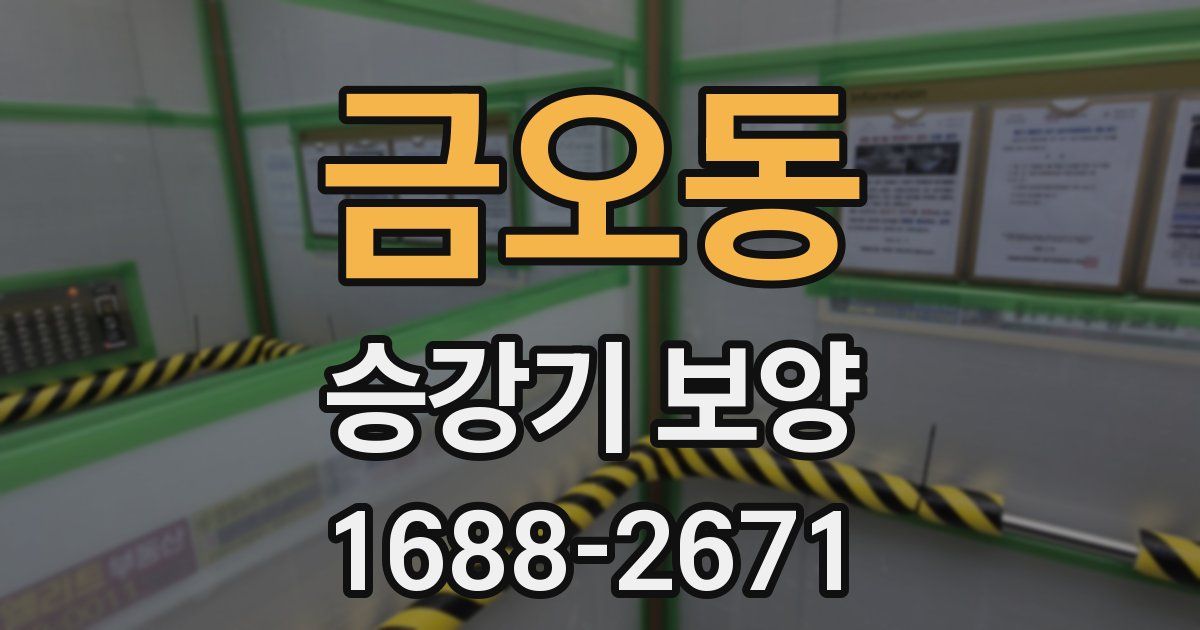 금오동 승강기 보양