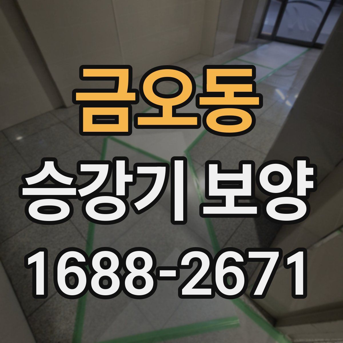 금오동 승강기 보양