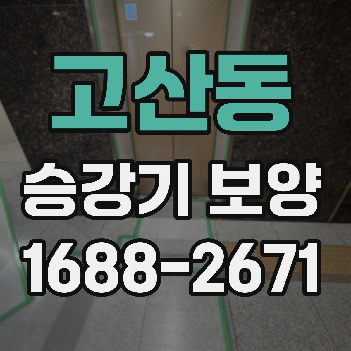 고산동 승강기 보양