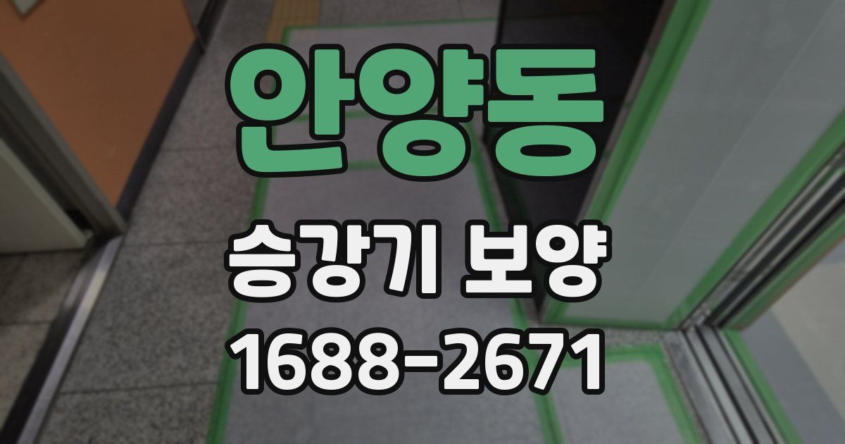 안양동 승강기 보양