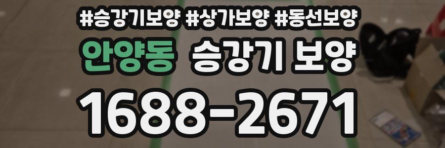 안양동 승강기 보양