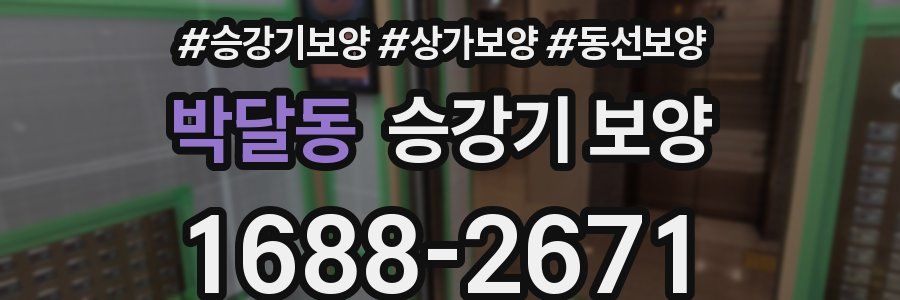 박달동 승강기 보양