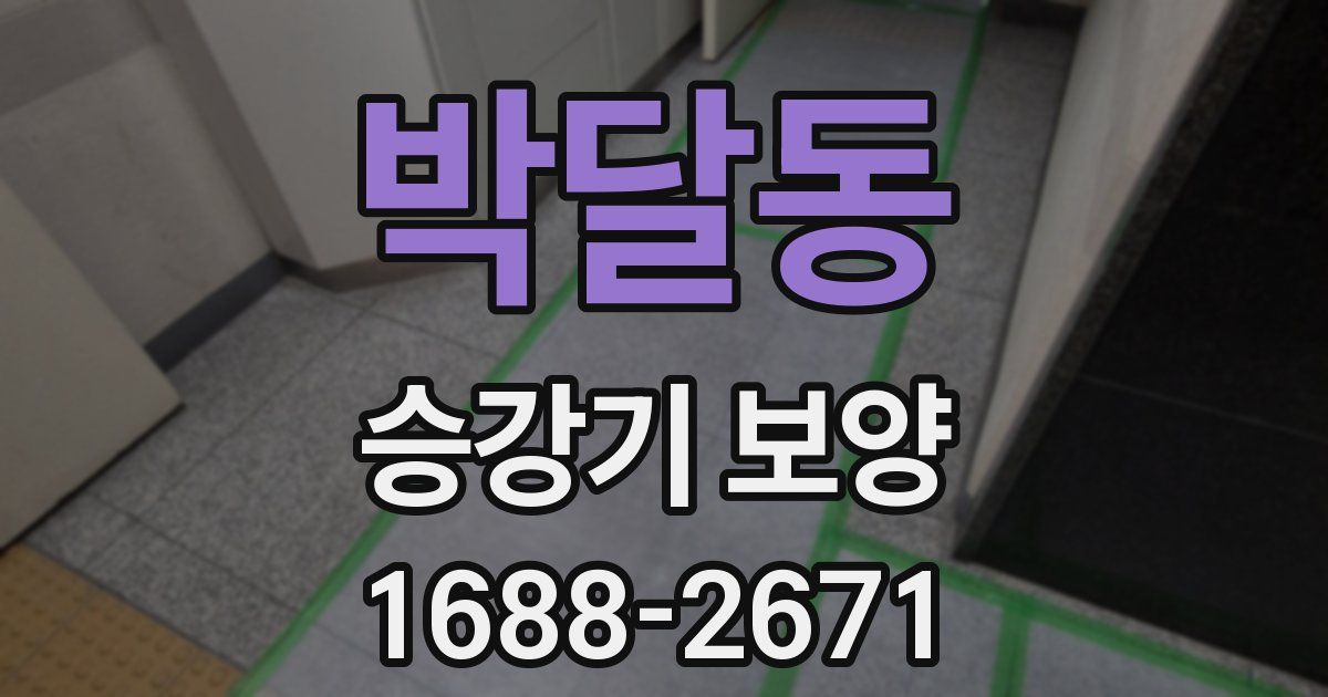 박달동 승강기 보양