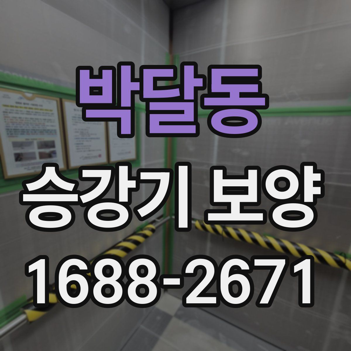 박달동 승강기 보양