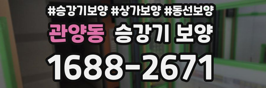 관양동 승강기 보양