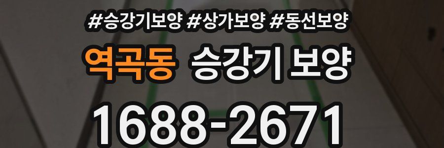 역곡동 승강기 보양