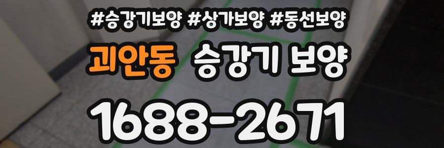 괴안동 승강기 보양