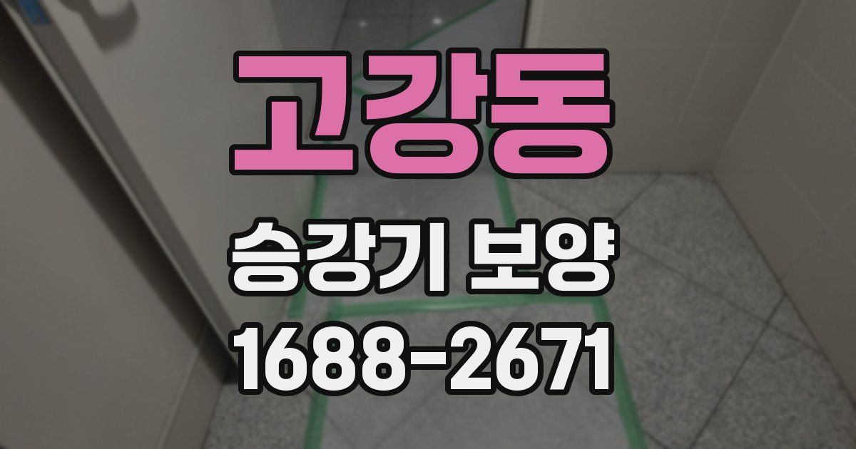 고강동 승강기 보양