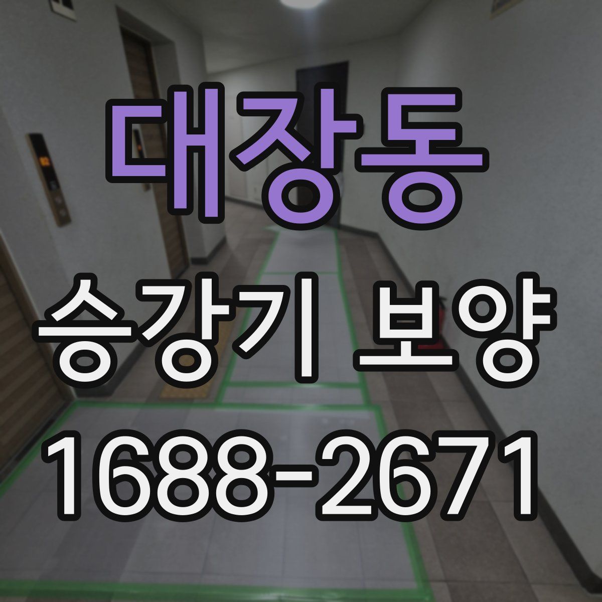 대장동 승강기 보양