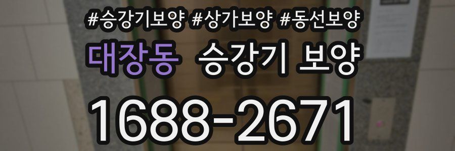 대장동 승강기 보양