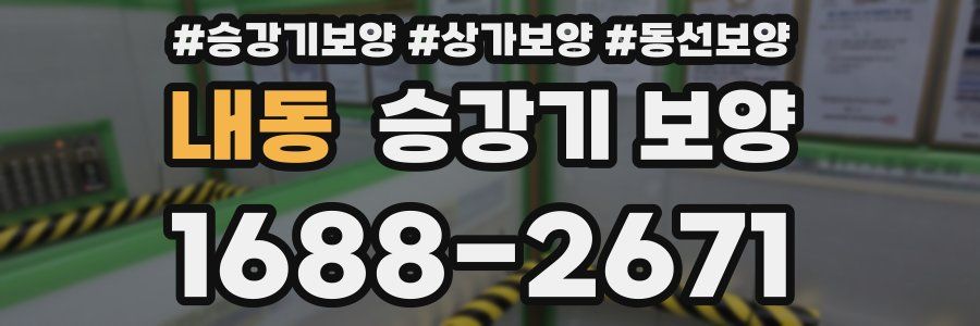 내동 승강기 보양
