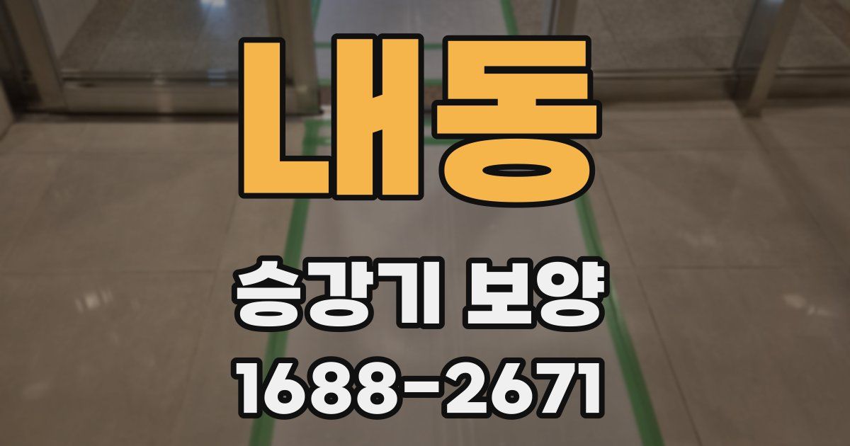내동 승강기 보양