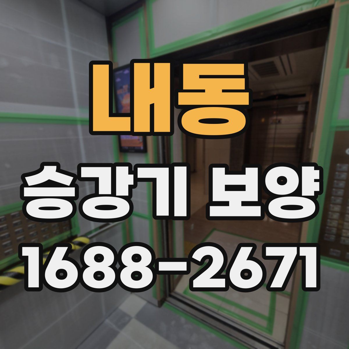내동 승강기 보양