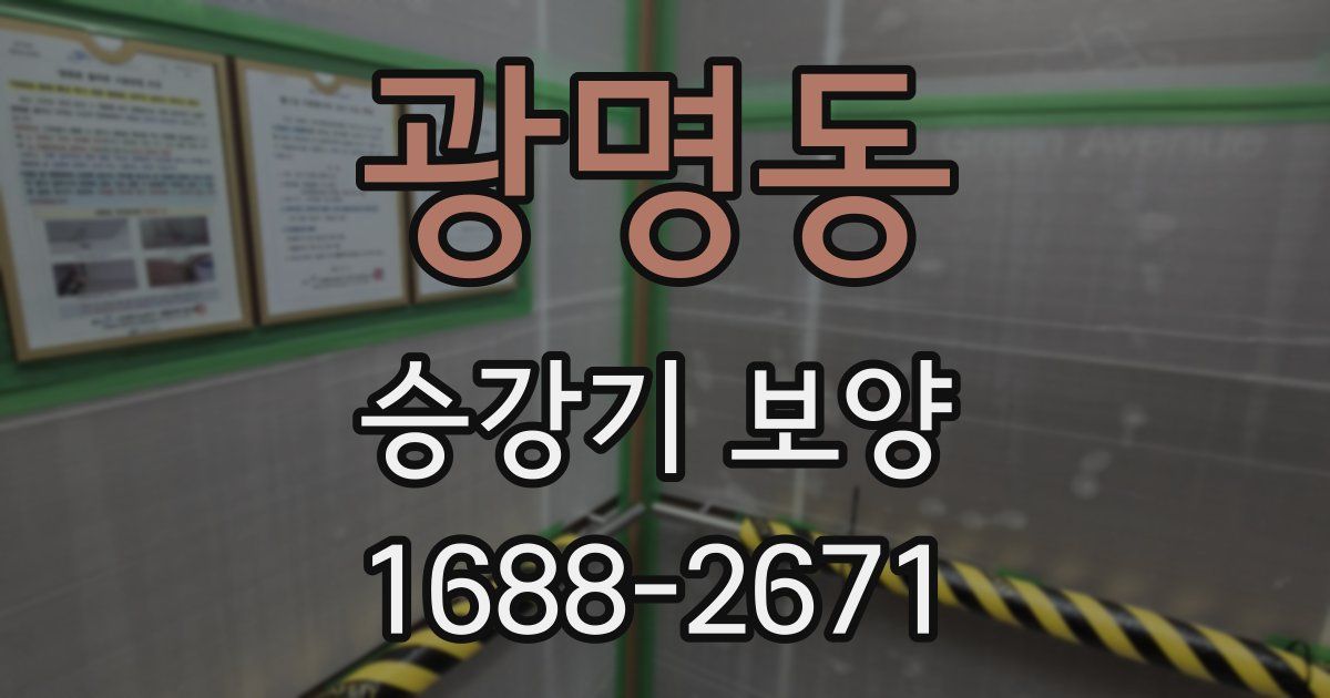 광명동 승강기 보양
