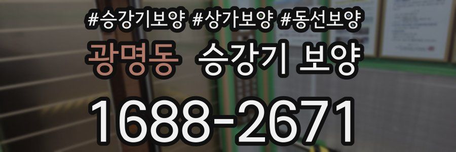 광명동 승강기 보양