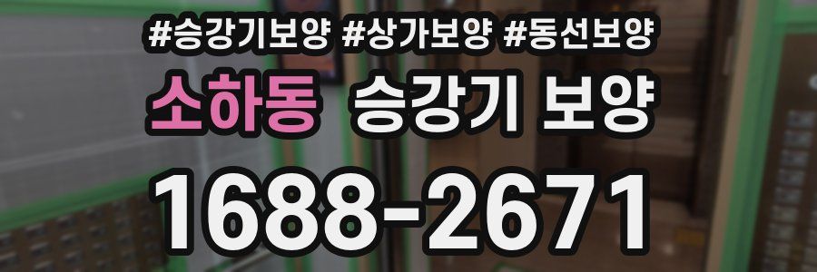 소하동 승강기 보양