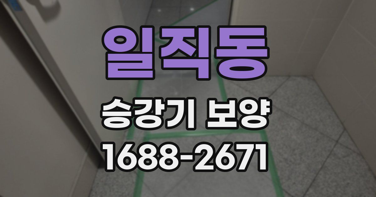 일직동 승강기 보양
