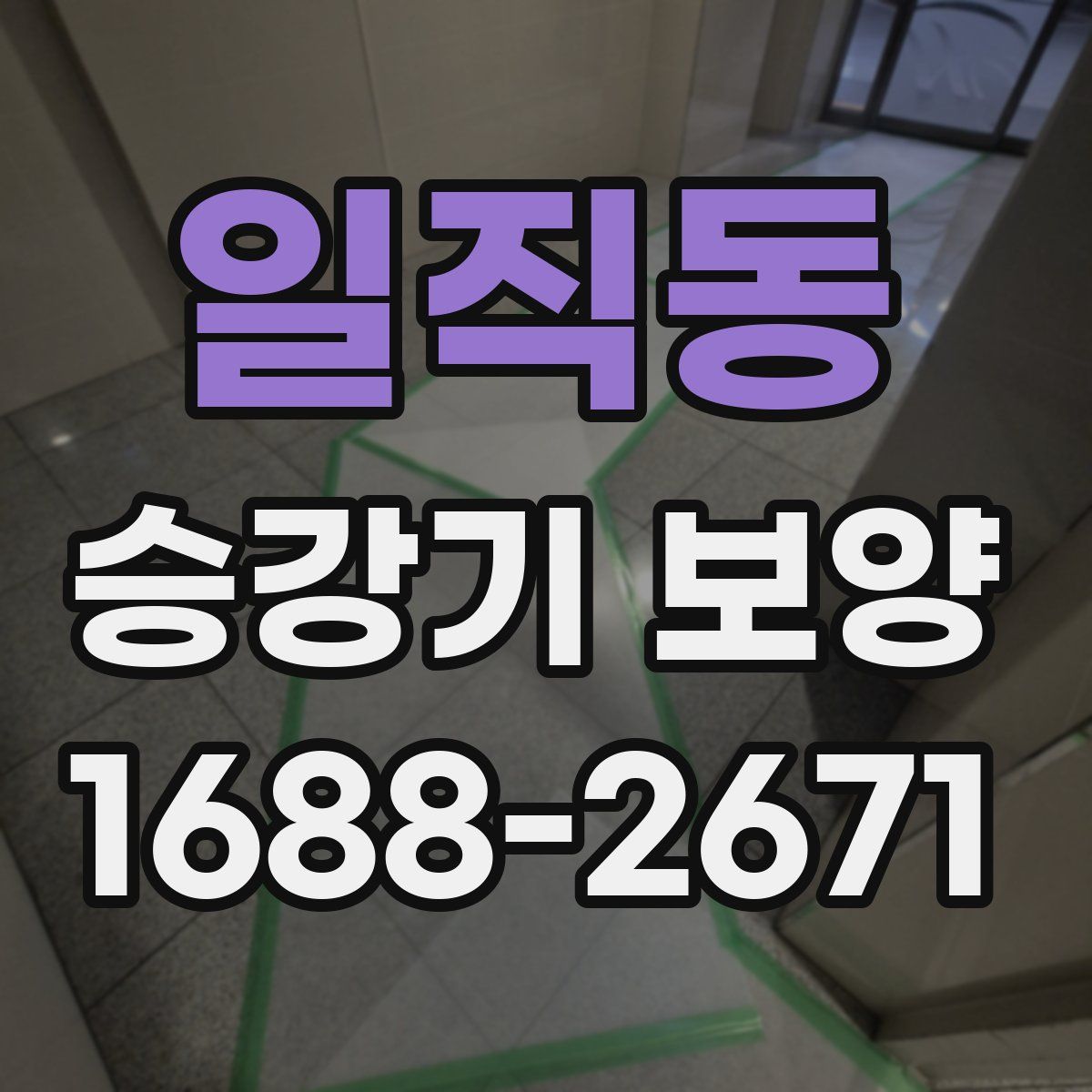 일직동 승강기 보양
