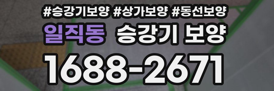 일직동 승강기 보양
