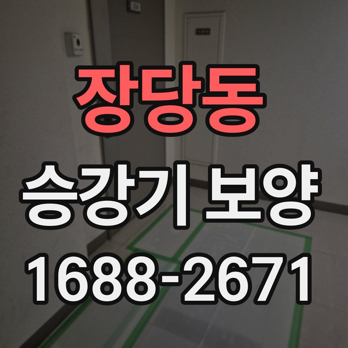 장당동 승강기 보양
