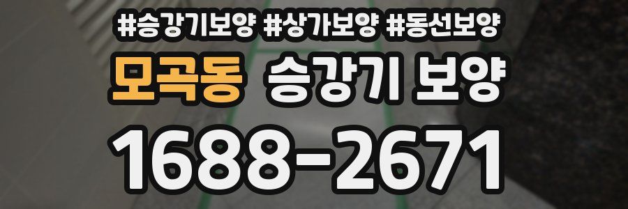 모곡동 승강기 보양