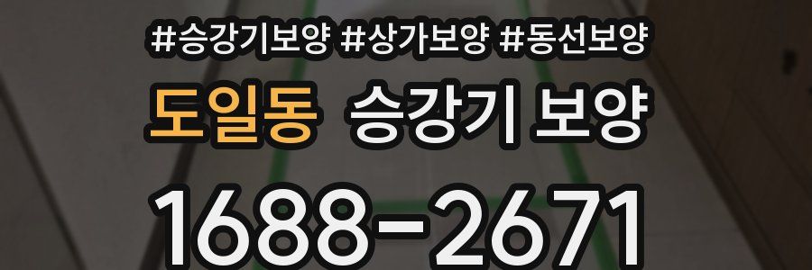 도일동 승강기 보양