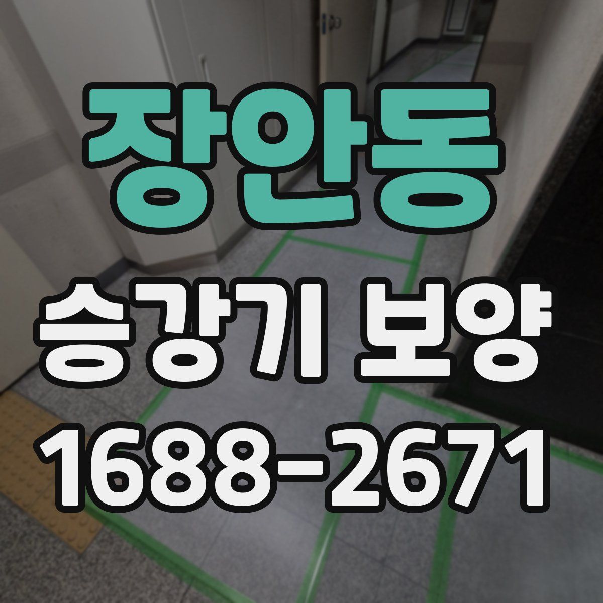 장안동 승강기 보양