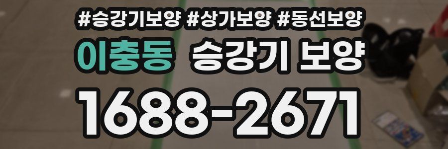 이충동 승강기 보양