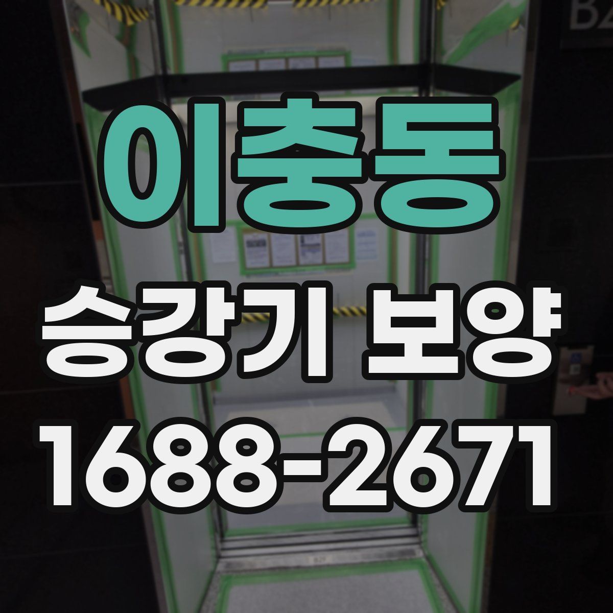 이충동 승강기 보양