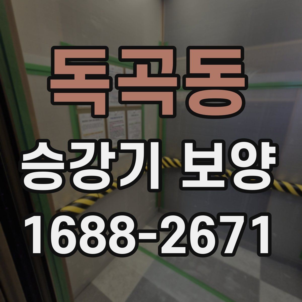 독곡동 승강기 보양 후 관리가 필요한 항목 정리
