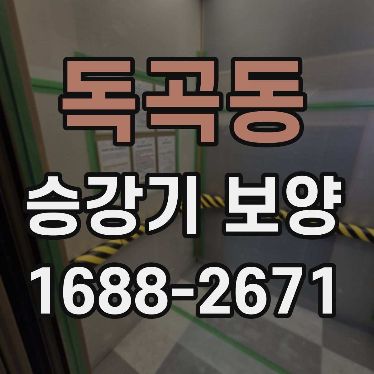 독곡동 승강기 보양