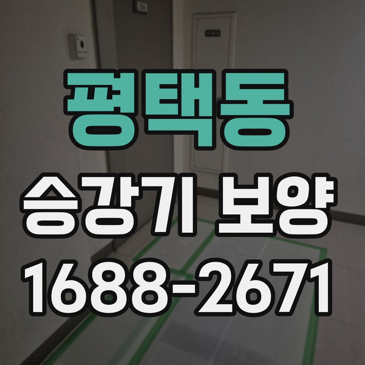 평택동 승강기 보양