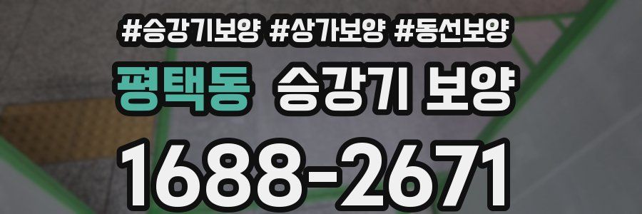 평택동 승강기 보양