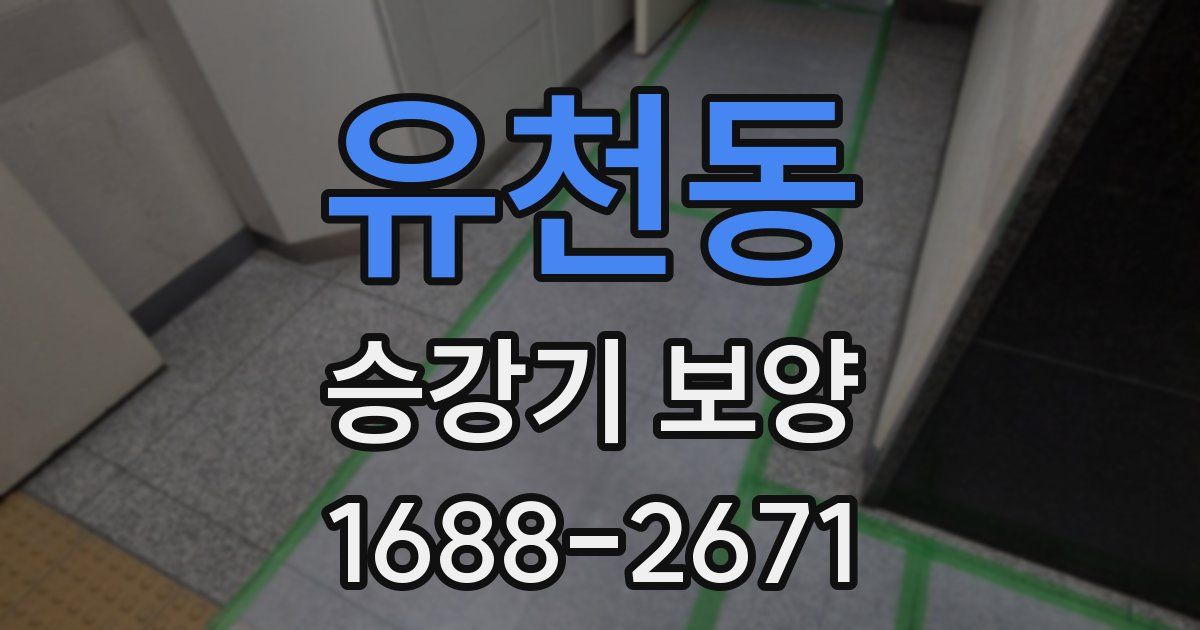 유천동 승강기 보양