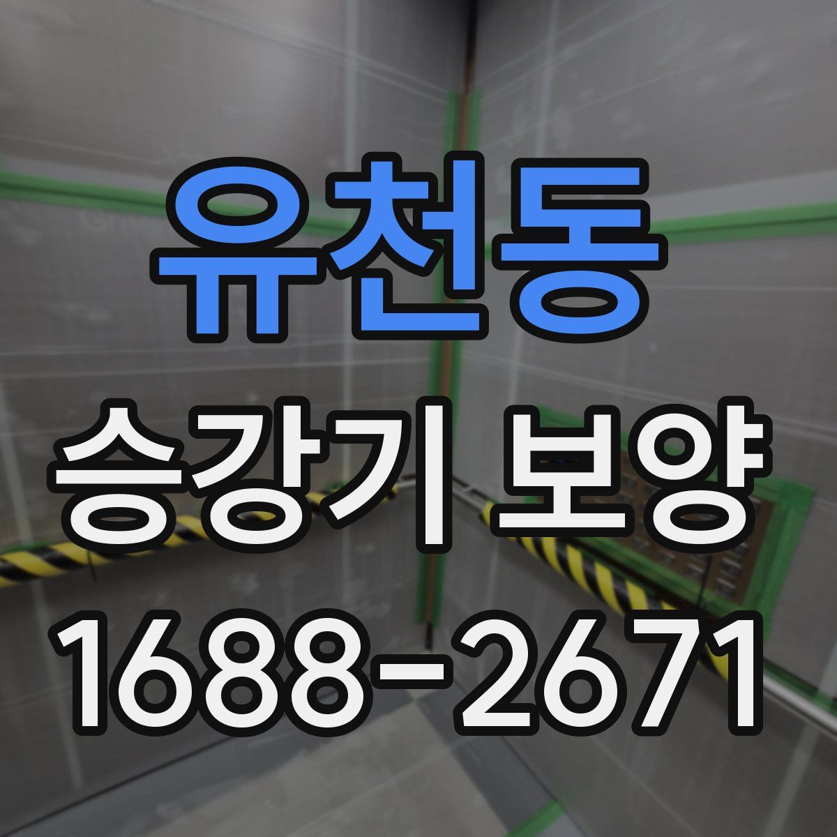 유천동 승강기 보양