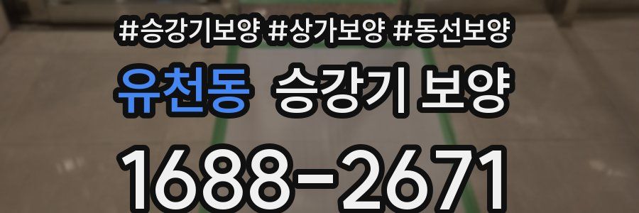 유천동 승강기 보양