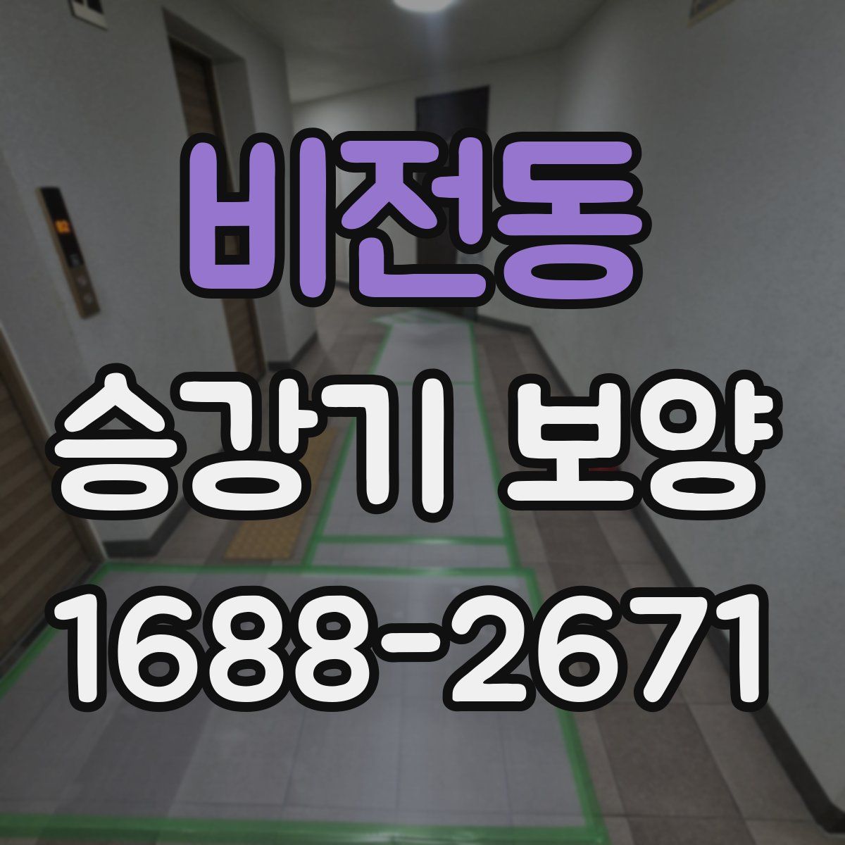비전동 승강기 보양