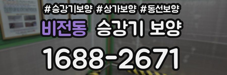 비전동 승강기 보양
