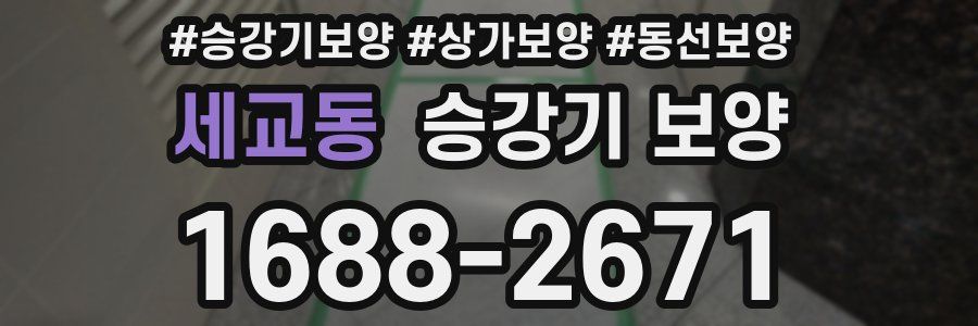 세교동 승강기 보양