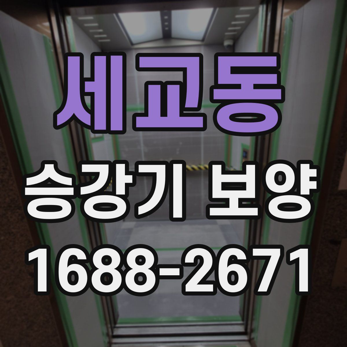 세교동 승강기 보양