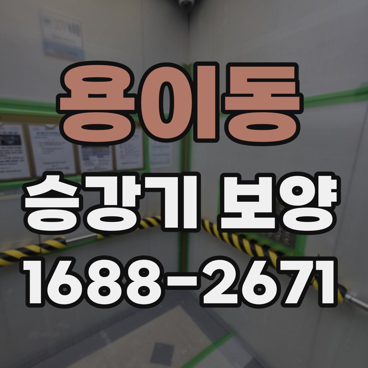 용이동 승강기 보양