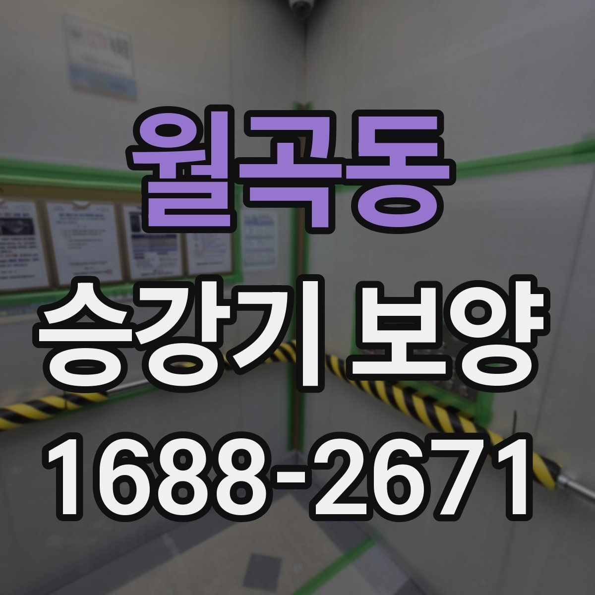 월곡동 승강기 보양