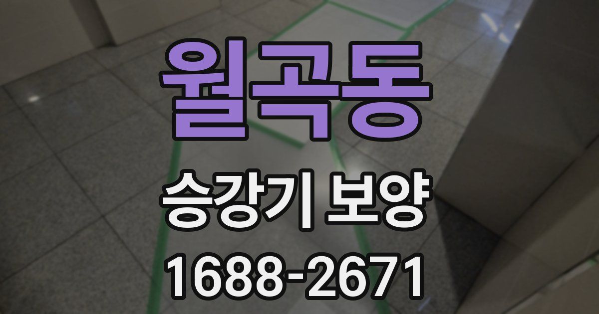 월곡동 승강기 보양