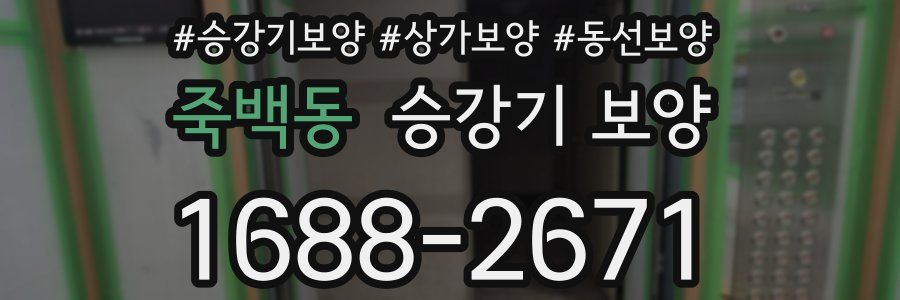죽백동 승강기 보양