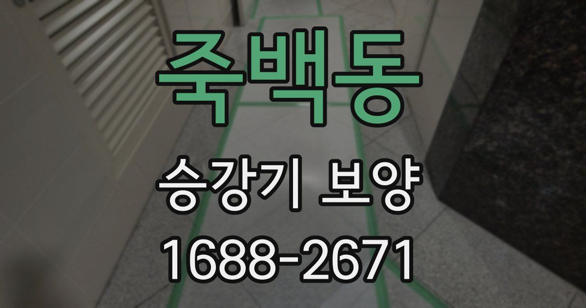 죽백동 승강기 보양