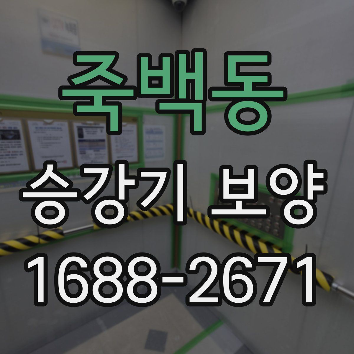 죽백동 승강기 보양