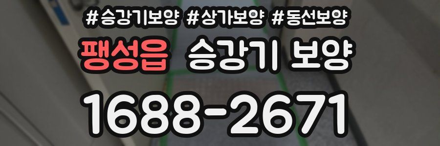 팽성읍 승강기 보양