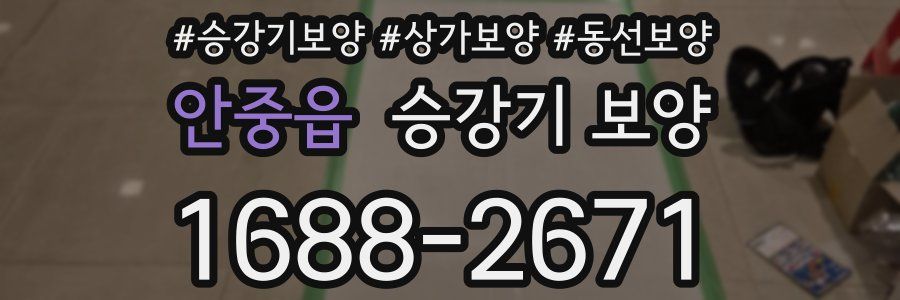 안중읍 승강기 보양